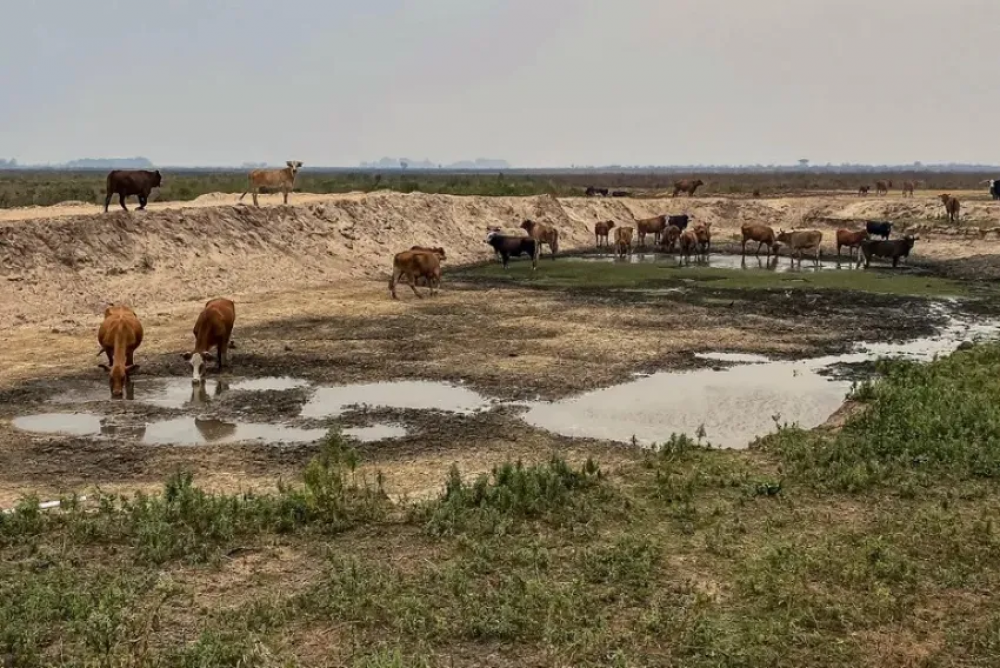 Sequa en Corrientes: la emergencia agropecuaria an no fue homologada