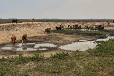 Sequía en Corrientes: la emergencia agropecuaria aún no fue homologada