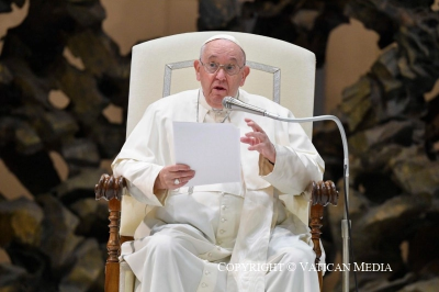 El Papa en la catequesis: Pidamos la gracia de un coraz�n pastoral que �sufre y arriesga�