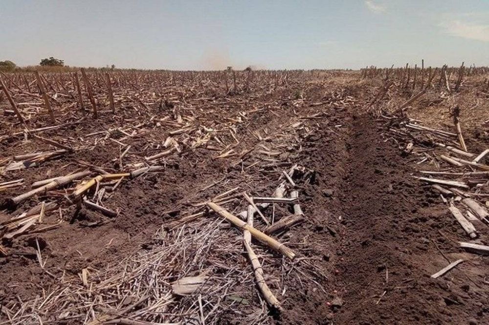 La situacin crtica de los productores rurales en Entre Ros ante la falta de lluvias