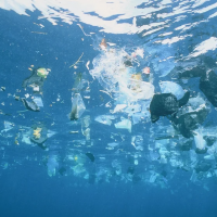 Investigadores usarán imágenes satelitales para detectar residuos plásticos y limpiar el Mar Argentino