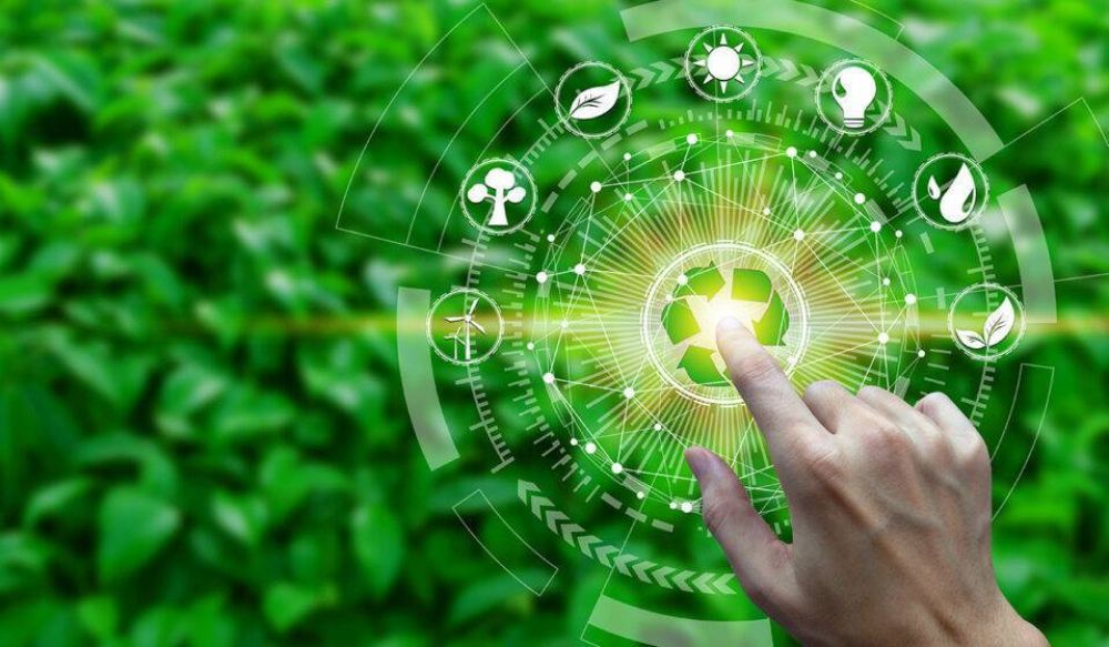 D�a Internacional de la Educaci�n Ambiental: El Celam prepara �itinerario formativo� sobre ecolog�a integral