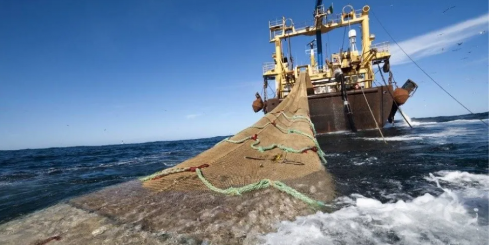 Argentina denunci ante la ONU la pesca ilegal en Malvinas