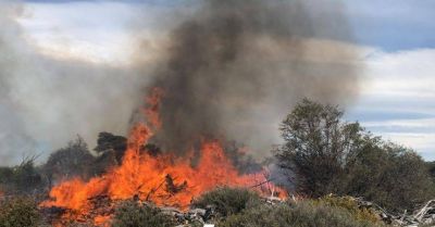 Patagonia: el impacto de los incendios