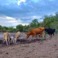 Sequía – El Gobierno nacional declaró el estado de “emergencia agropecuaria” en Jujuy