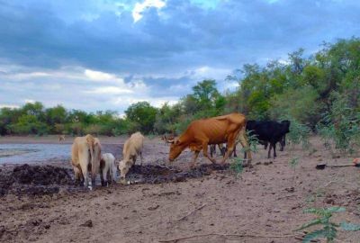 Sequía – El Gobierno nacional declaró el estado de “emergencia agropecuaria” en Jujuy