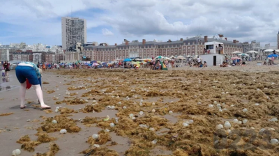 El Ministerio pide respetar las ordenanzas para evitar intoxicaciones por biotoxinas en la playa