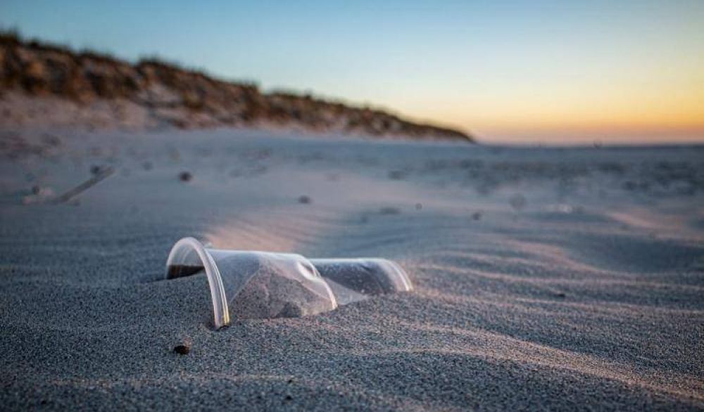 Ms del 70% de los residuos censados en las playas de Buenos Aires es plstico