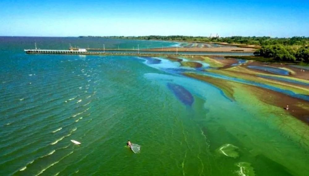 En qu localidades de Buenos Aires contina la alerta por cianobacterias