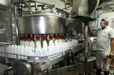 Las exportaciones de lácteos crecieron un 38% interanual
