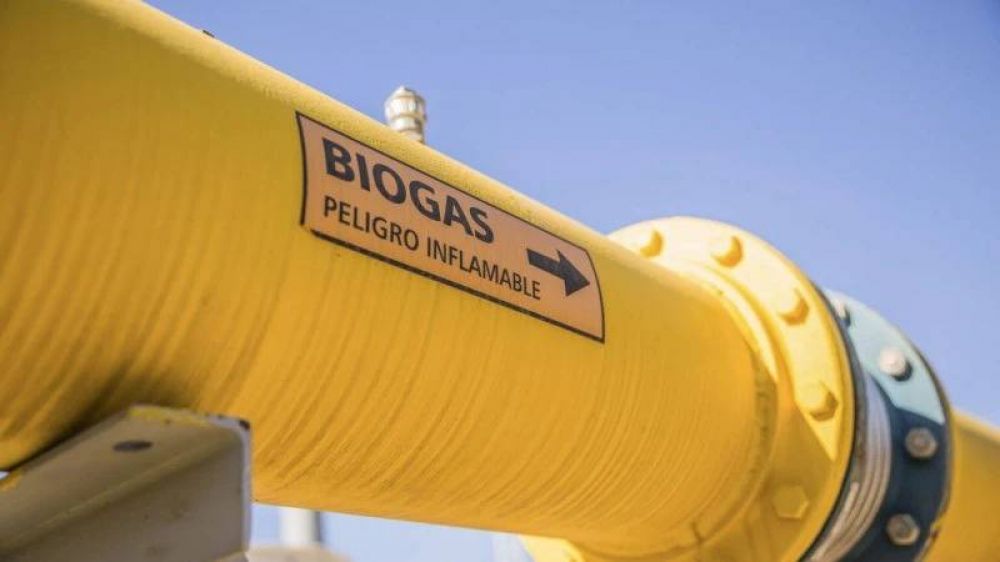 Biogs: una alternativa sustentable para satisfacer la demanda elctrica a bajo costo