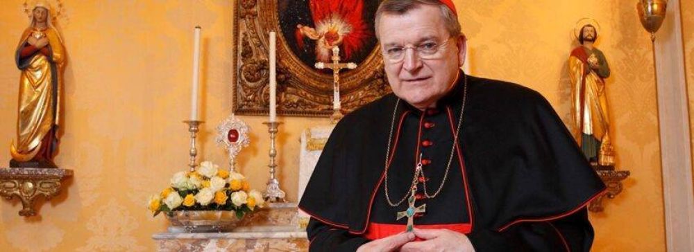El nuevo reto del cardenal Burke: ensear a los curas de Estados Unidos a negar la comunin