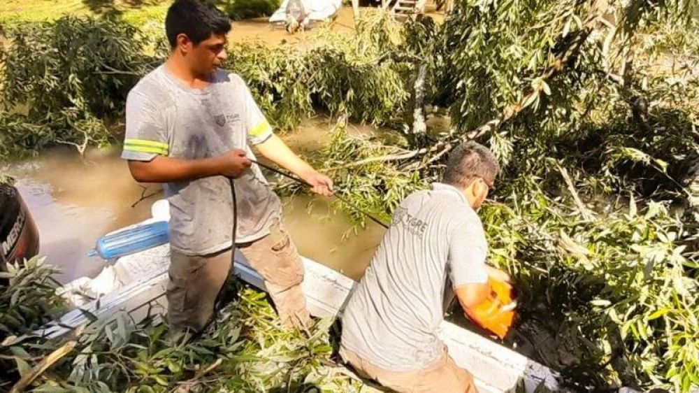 En el Delta de Tigre, el Municipio realiz� trabajos de mantenimiento y destronques