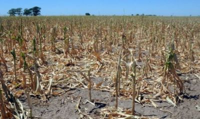 Pepa pide informe a Producción sobre impacto de sequía y heladas en La Pampa