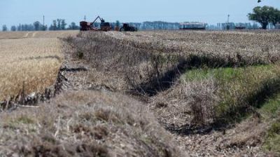 Agroindustriales: lanzaron créditos para las pymes impactadas por la sequía