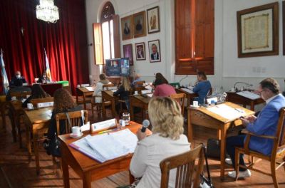 Patagones: 8 de sus 16 concejales evalúan renunciar a sus bancas