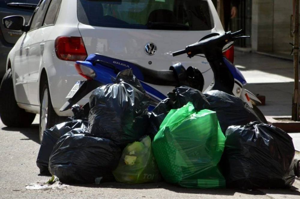 Buscan establecer por ordenanza los das para sacar la bolsa verde