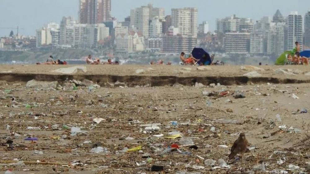 Guardia Ecolgica Costera: proponen crear un cuerpo municipal para mantener limpias las playas