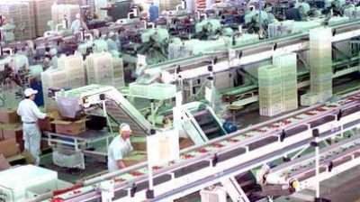 Da del/a Trabajador/a de la Alimentacin