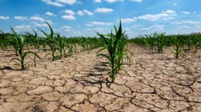 Sequía: soluciones que no alcanzan
