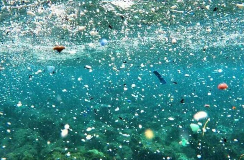 Microplásticos: “Tenemos un mar que se equipara a los más contaminados del mundo”