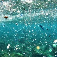 Microplásticos: “Tenemos un mar que se equipara a los más contaminados del mundo”