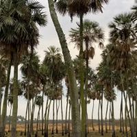 Esta semana Chaco sumar su tercer parque nacional