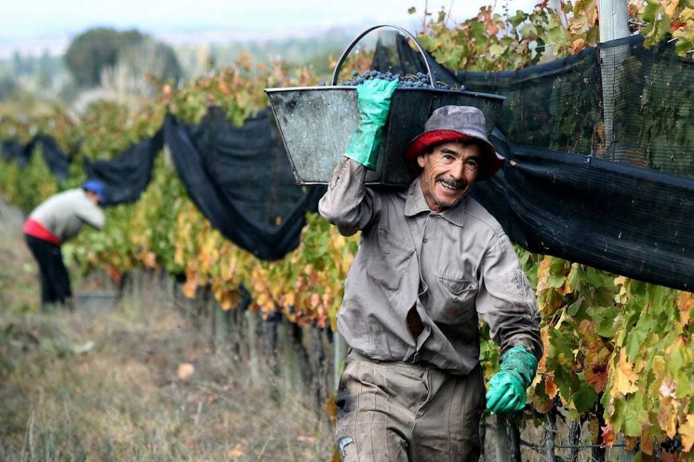En medio de conflictos por aumento de salarios, el gremio de vitivincolas de Cafayate pas a manos de una lista de izquierda