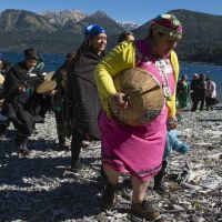 Repudio de la Iglesia al negacionismo contra los mapuches