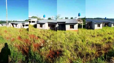 Encuentran viviendas que serían del Iprodha, terminadas y abandonadas desde 2014