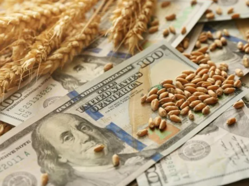 El mercado abre la semana y ya eval�a cu�l ser� el impacto del d�lar agro en los paralelos