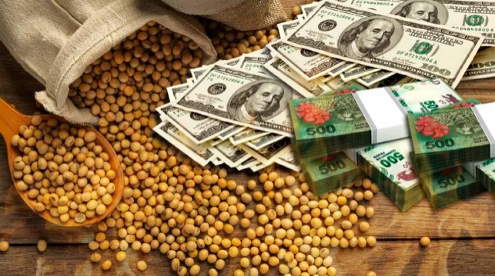 Dlar agro: el mercado espera una masiva liquidacin de divisas en los prximos das