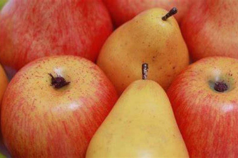 Productores de peras y manzanas se suman al Programa Exportador