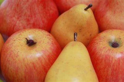 Productores de peras y manzanas se suman al Programa Exportador
