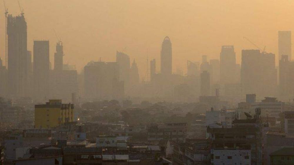 El Papa: La tierra sufre, necesitamos pol�ticas previsoras de ecolog�a integral