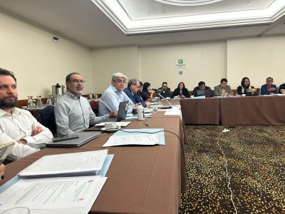 Conferencia Internacional del Trabajo de la OIT: la ISP participó de la reunión preparatoria de la CSA