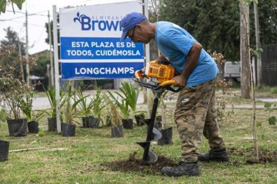 Con un plan de forestación histórico, en Brown ya plantaron 5 mil árboles