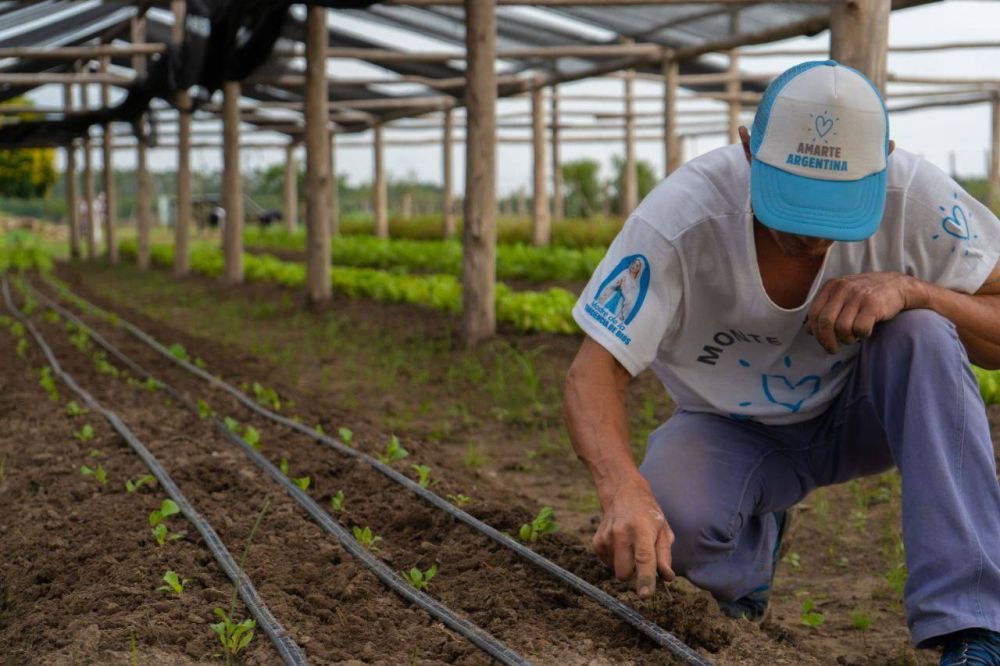 Crecen las huertas agroecolgicas en Monte Caseros gracias al impulso de la asociacin civil Amarte Argentina