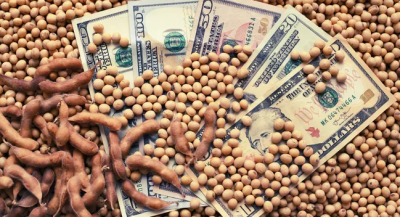 Dólar: el precio internacional y la mala cosecha de soja local afectan el ingreso de divisas al BCRA