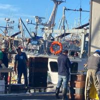 Malestar de estibadores por menos trabajo