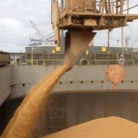 Las grandes cerealeras aceleran la importacin de soja desde Brasil y Paraguay