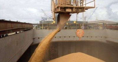 Las grandes cerealeras aceleran la importacin de soja desde Brasil y Paraguay