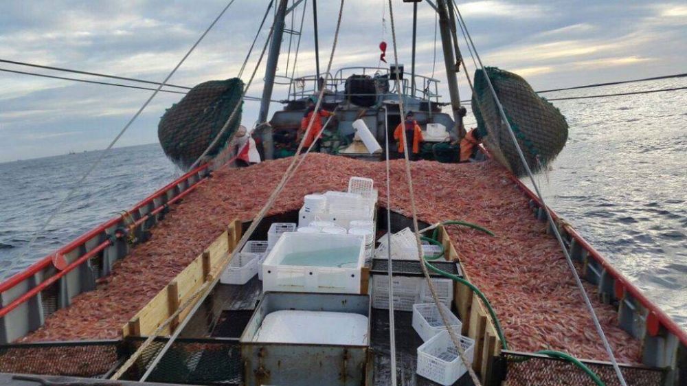 Los gremios pesqueros acordaron en paritarias la liquidacin salarial segn un dlar a 300 pesos