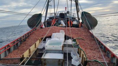 Los gremios pesqueros acordaron en paritarias la liquidación salarial según un dólar a 300 pesos