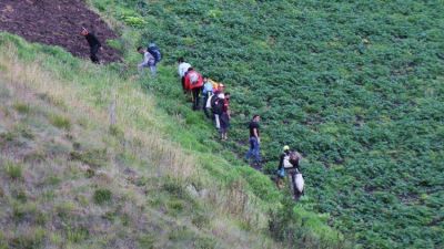 Llamado a los gobiernos latinoamericanos a evaluar las polticas de refugio