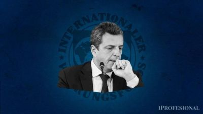 El FMI monitorea el conflictivo escenario pol�tico y pone la lupa sobre Massa: por qu� es clave la definici�n de su candidatura