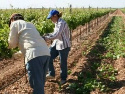 Paritaria trabajadores rurales 2023: Uatre alcanzó aumento del 104% anual