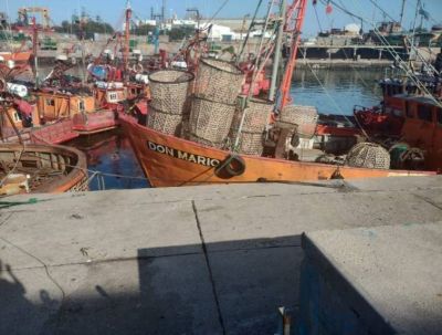 Puerto: desmbarques, desguaces y petroleras, eje de campaa?