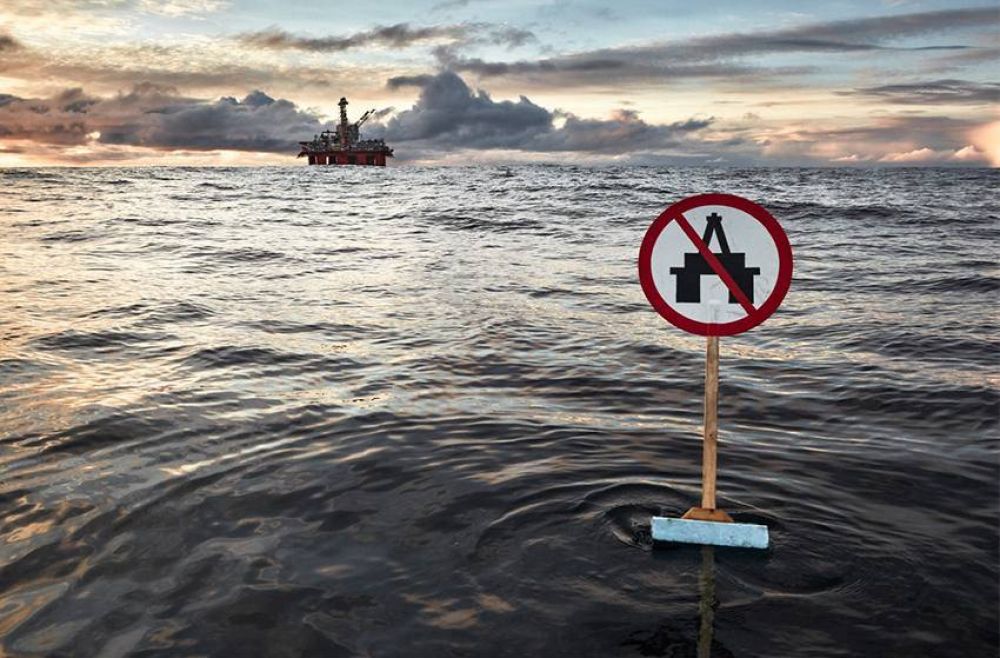Fundacin Fauna Argentina: Esperamos que la exploracin offshore se haga con responsabilidad