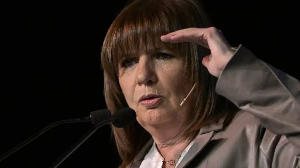 Patricia Bullrich volvi� sobre su frase pol�mica: 